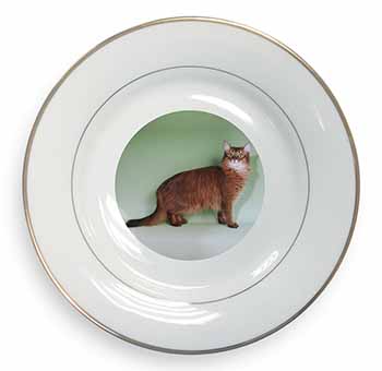 Ginger Somali Cat Gold Rim Plate Printed Full Colour in Gift Box