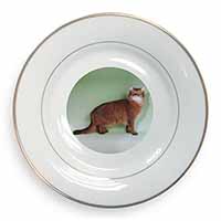 Ginger Somali Cat Gold Rim Plate Printed Full Colour in Gift Box