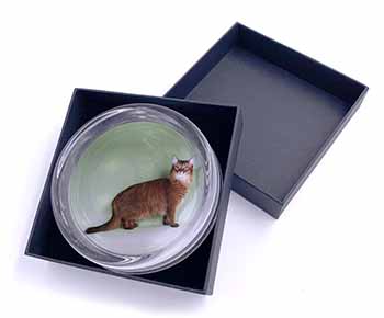 Ginger Somali Cat Glass Paperweight in Gift Box