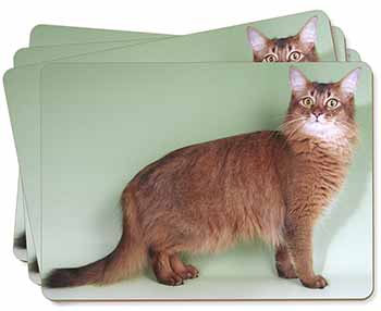Ginger Somali Cat Picture Placemats in Gift Box