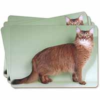 Ginger Somali Cat Picture Placemats in Gift Box