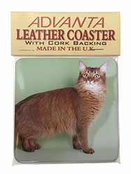 Ginger Somali Cat Single Leather Photo Coaster