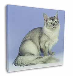 Silver Coat Tiffanie Cat Square Canvas 12"x12" Wall Art Picture Print