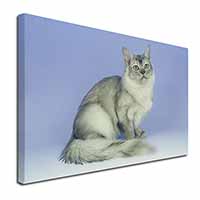 Silver Coat Tiffanie Cat Canvas X-Large 30"x20" Wall Art Print