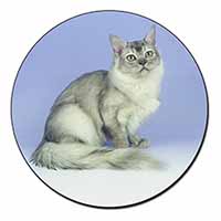 Silver Coat Tiffanie Cat Fridge Magnet Printed Full Colour