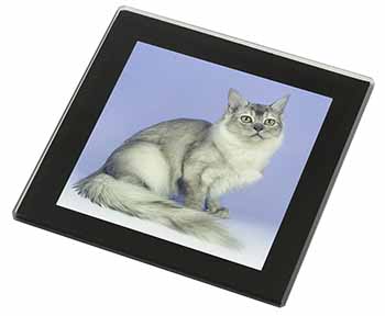 Silver Coat Tiffanie Cat Black Rim High Quality Glass Coaster