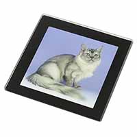 Silver Coat Tiffanie Cat Black Rim High Quality Glass Coaster