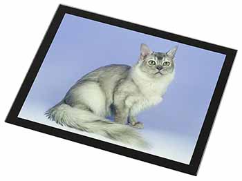 Silver Coat Tiffanie Cat Black Rim High Quality Glass Placemat