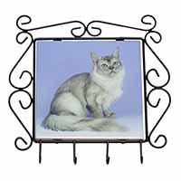 Silver Coat Tiffanie Cat Wrought Iron Key Holder Hooks