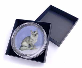 Silver Coat Tiffanie Cat Glass Paperweight in Gift Box