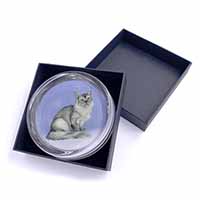 Silver Coat Tiffanie Cat Glass Paperweight in Gift Box