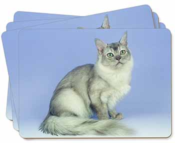 Silver Coat Tiffanie Cat Picture Placemats in Gift Box