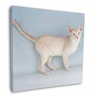 Tonkinese Cat Square Canvas 12"x12" Wall Art Picture Print