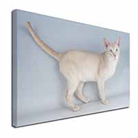 Tonkinese Cat Canvas X-Large 30"x20" Wall Art Print