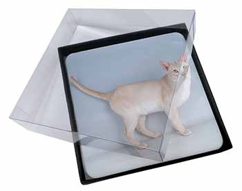 4x Tonkinese Cat Picture Table Coasters Set in Gift Box