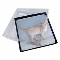 4x Tonkinese Cat Picture Table Coasters Set in Gift Box