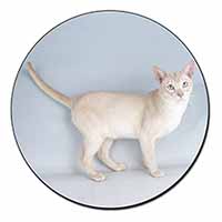 Tonkinese Cat Fridge Magnet Printed Full Colour