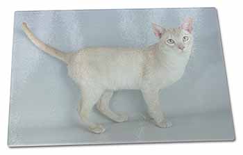 Large Glass Cutting Chopping Board Tonkinese Cat