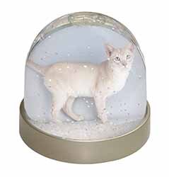 Tonkinese Cat Snow Globe Photo Waterball