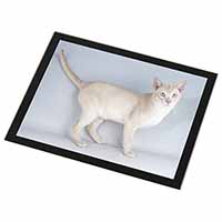 Tonkinese Cat Black Rim High Quality Glass Placemat