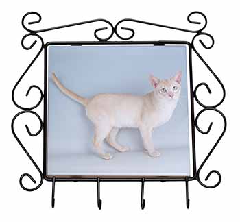 Tonkinese Cat Wrought Iron Key Holder Hooks