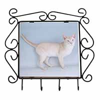 Tonkinese Cat Wrought Iron Key Holder Hooks