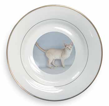 Tonkinese Cat Gold Rim Plate Printed Full Colour in Gift Box