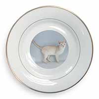 Tonkinese Cat Gold Rim Plate Printed Full Colour in Gift Box