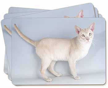 Tonkinese Cat Picture Placemats in Gift Box