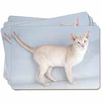 Tonkinese Cat Picture Placemats in Gift Box