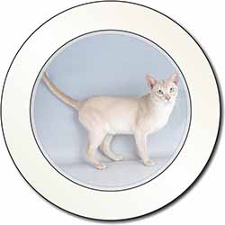 Tonkinese Cat Car or Van Permit Holder/Tax Disc Holder