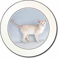 Tonkinese Cat Car or Van Permit Holder/Tax Disc Holder