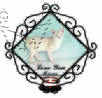 Tonkinese Cat 