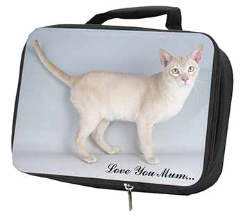 Tonkinese Cat 