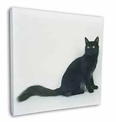 Black Turkish Angora Cat Square Canvas 12"x12" Wall Art Picture Print