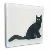 Black Turkish Angora Cat Square Canvas 12"x12" Wall Art Picture Print