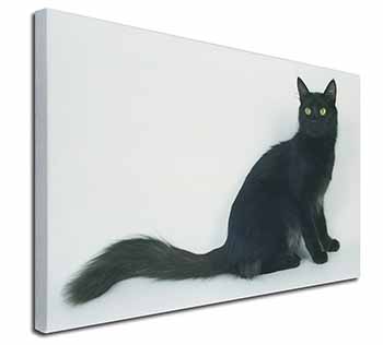 Black Turkish Angora Cat Canvas X-Large 30"x20" Wall Art Print