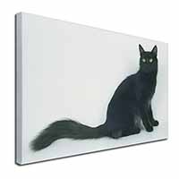 Black Turkish Angora Cat Canvas X-Large 30"x20" Wall Art Print