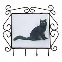 Black Turkish Angora Cat Wrought Iron Key Holder Hooks