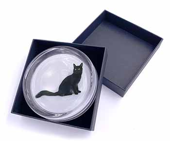 Black Turkish Angora Cat Glass Paperweight in Gift Box