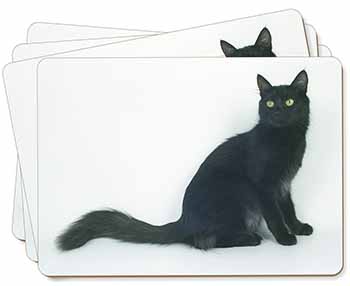 Black Turkish Angora Cat Picture Placemats in Gift Box