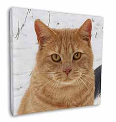 Pretty Ginger Cat Square Canvas 12"x12" Wall Art Picture Print