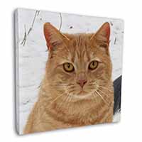 Pretty Ginger Cat Square Canvas 12"x12" Wall Art Picture Print