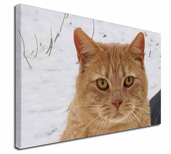 Pretty Ginger Cat Canvas X-Large 30"x20" Wall Art Print