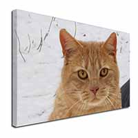 Pretty Ginger Cat Canvas X-Large 30"x20" Wall Art Print