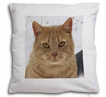 Pretty Ginger Cat Soft White Velvet Feel Scatter Cushion