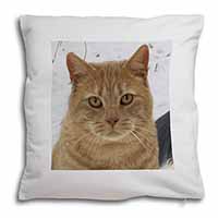 Pretty Ginger Cat Soft White Velvet Feel Scatter Cushion