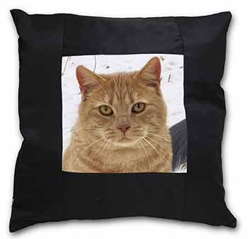 Pretty Ginger Cat Black Satin Feel Scatter Cushion
