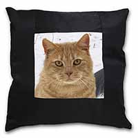 Pretty Ginger Cat Black Satin Feel Scatter Cushion