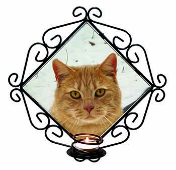 Pretty Ginger Cat Wrought Iron Wall Art Candle Holder